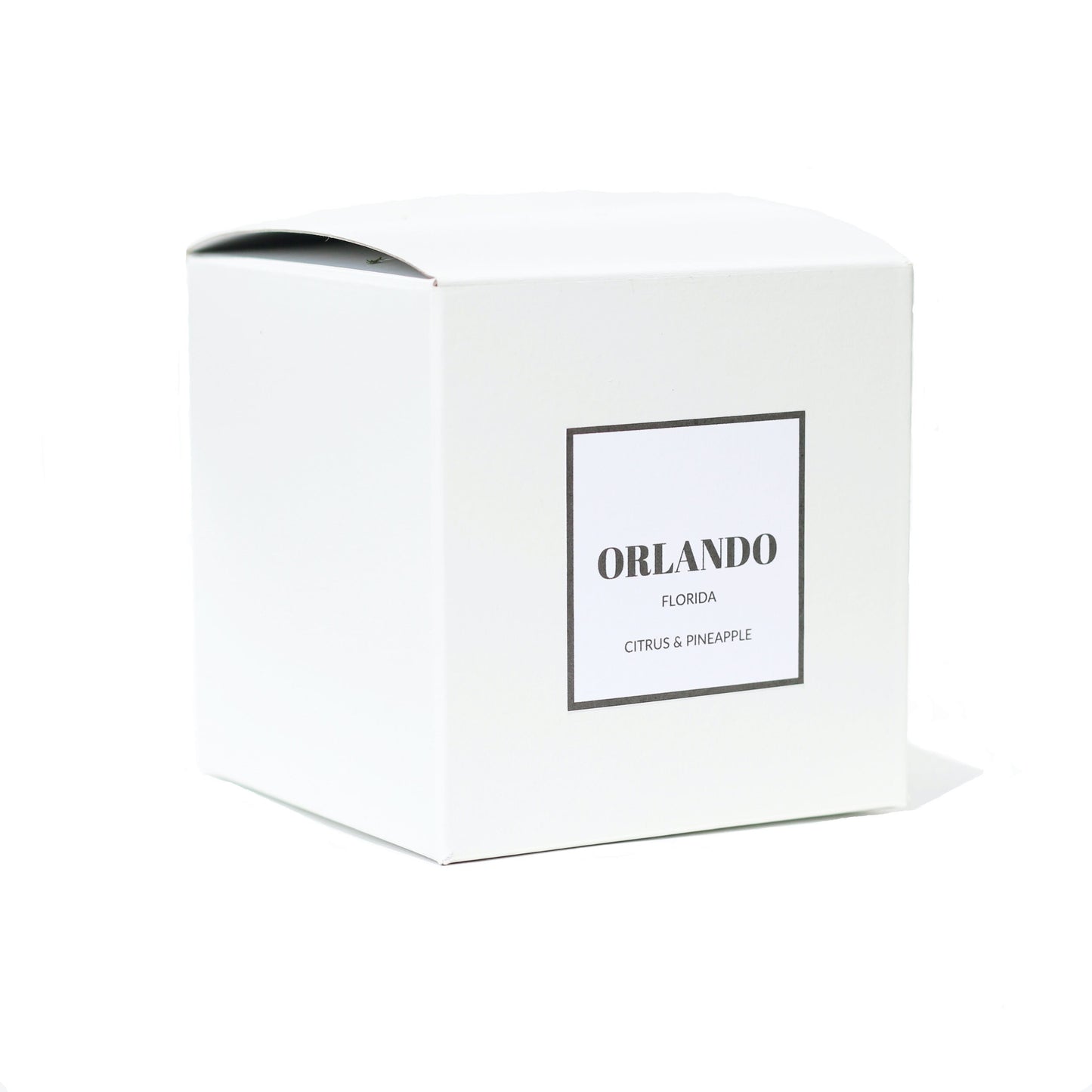 Orlando, Florida Candle | Handmade Scented City Candle | 100% Soy Wax | Housewarming Gift